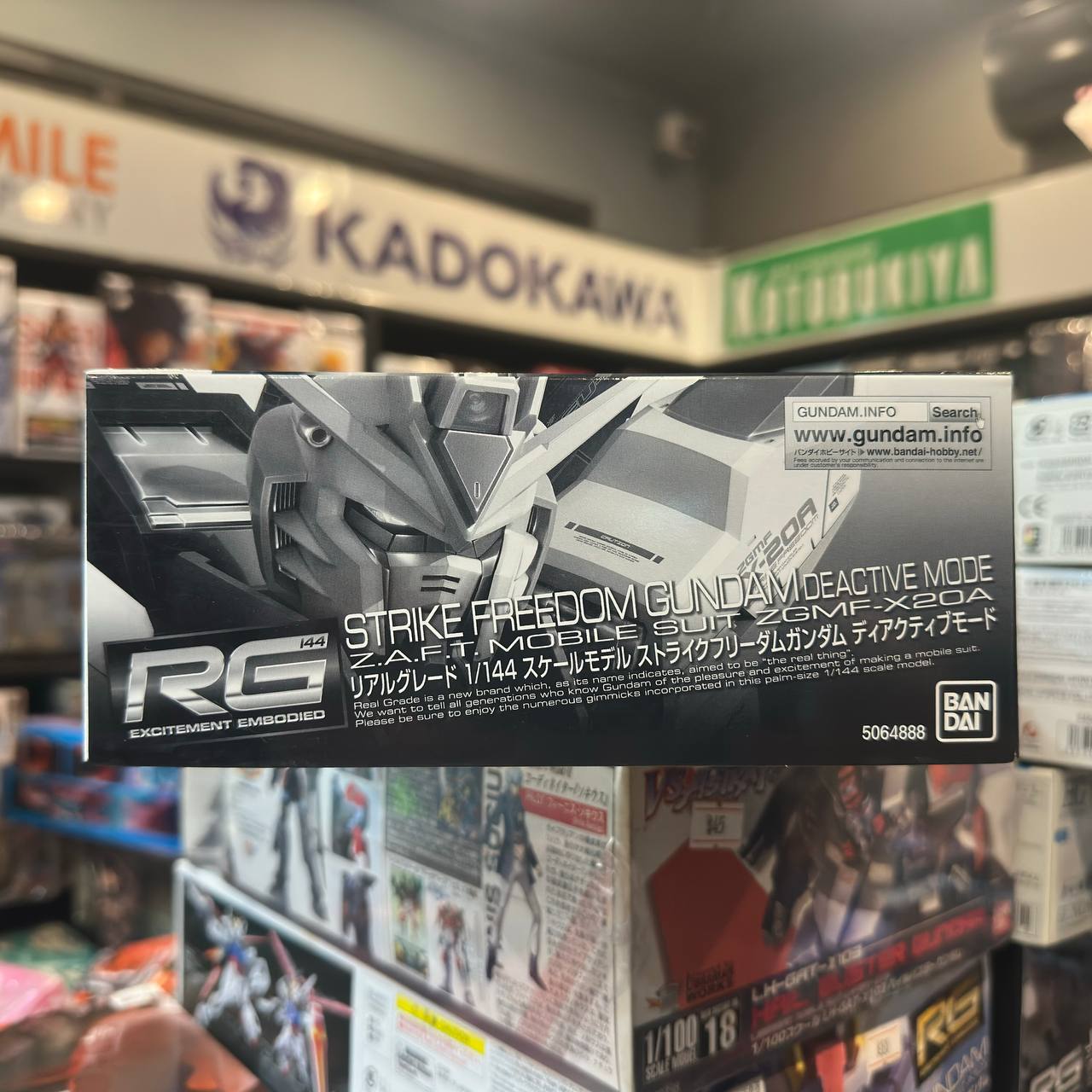 1/144 RG ZGMF-X20A Strike Freedom Gundam Deactivate Mode "MOBILE SUIT Gundam SEED DESTINY" Premium Bandai Limited