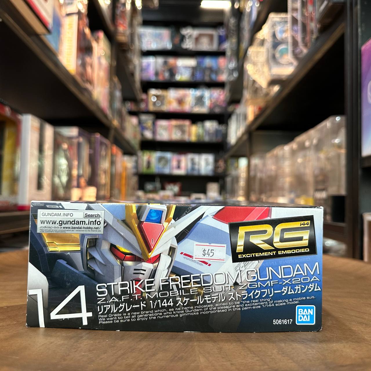 RG Strike Freedom Gundam 